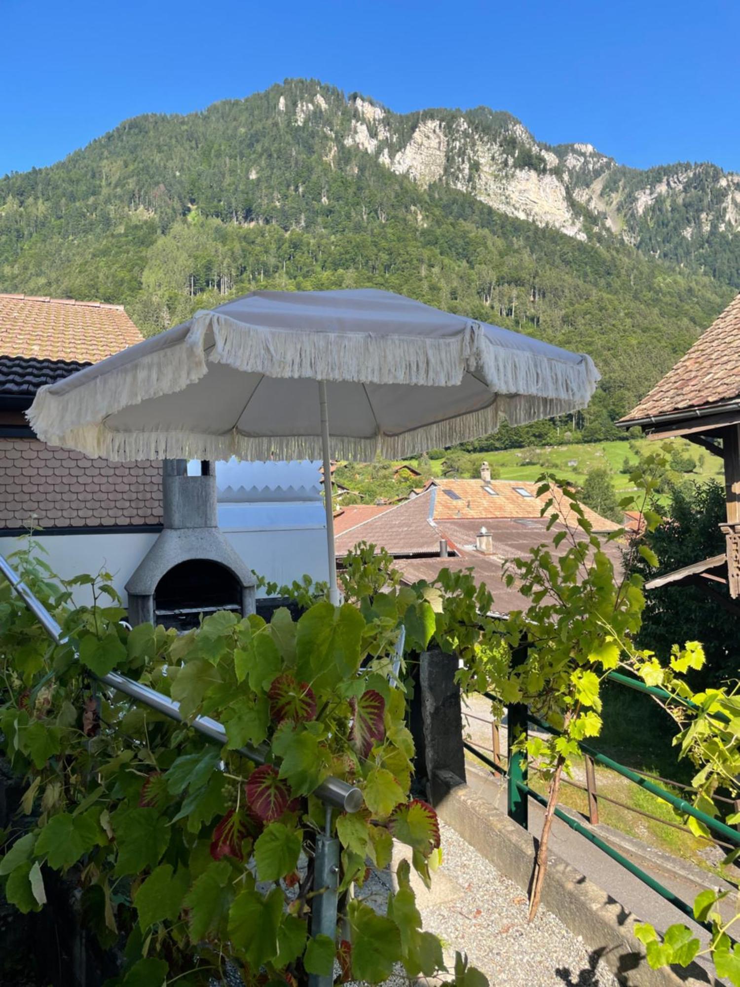 Studio In Alps By Apartments Capricorn Gsteigwiler Luaran gambar